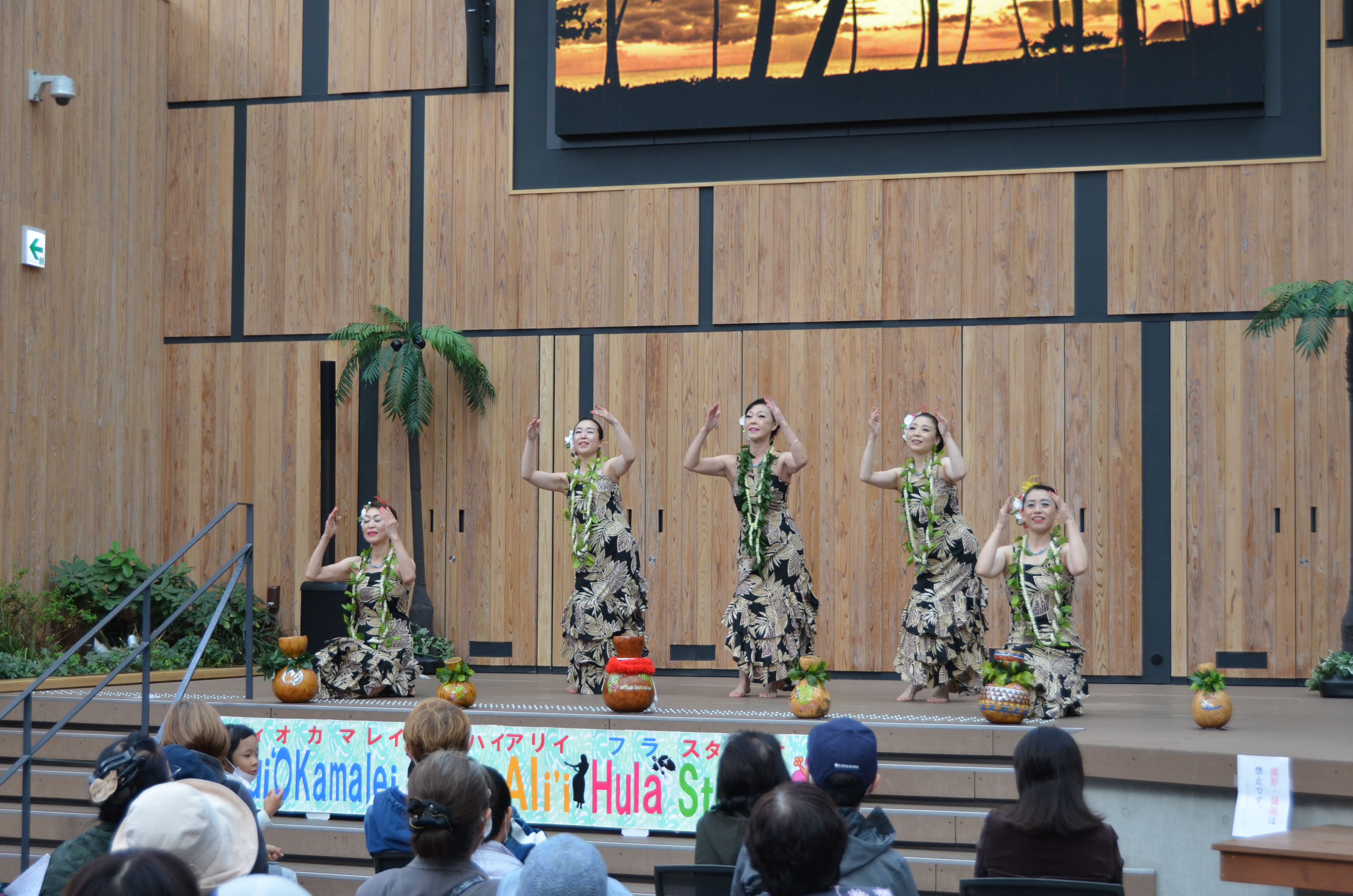 Hui ‘O Kamalei ‘Ohai Ali’i Hula Studio 