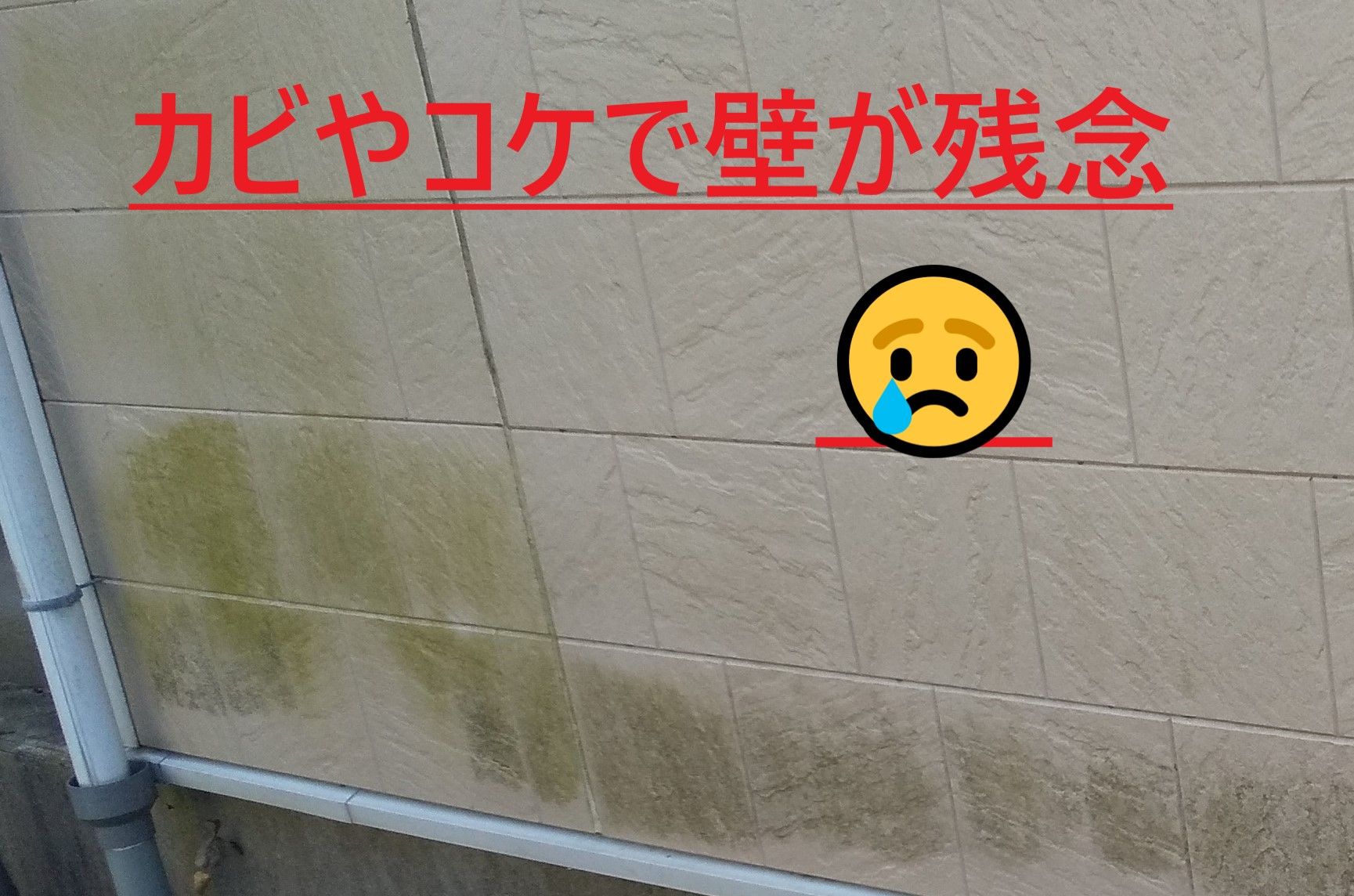 (株)タナカ工業（八戸ペイント）
