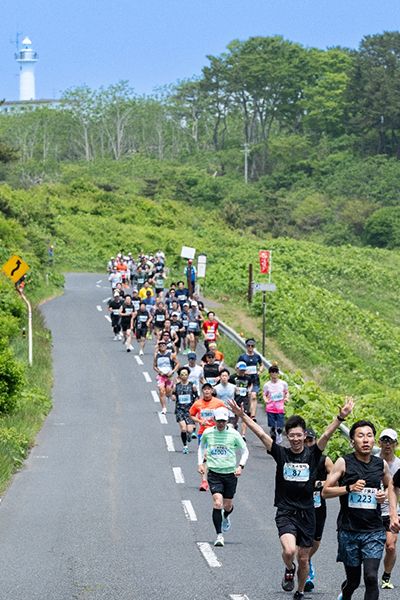 満開になった桜と八戸大橋のコラボ１＝館鼻公園
